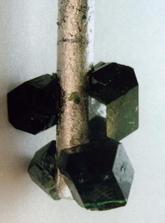 Fig12